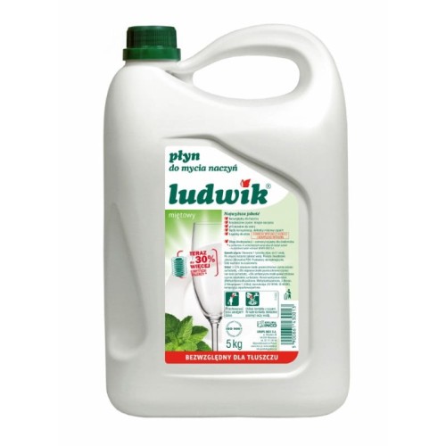 ludwik-plyn-do-mycia-naczyn-5l-mieta.jpg