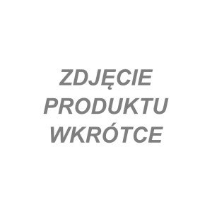Lanca wygięta 15° ze stali nierdzewnej 600 mm